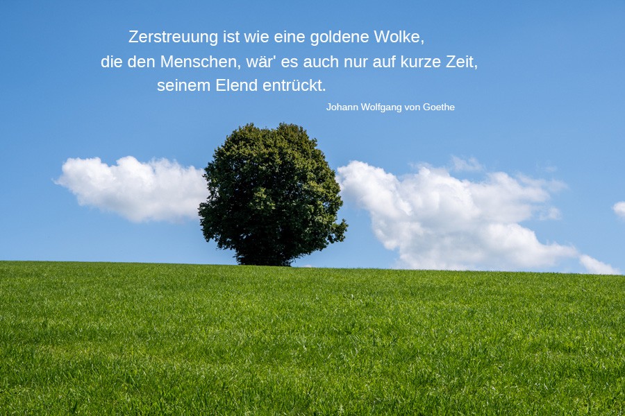 Z4-Goethe-1